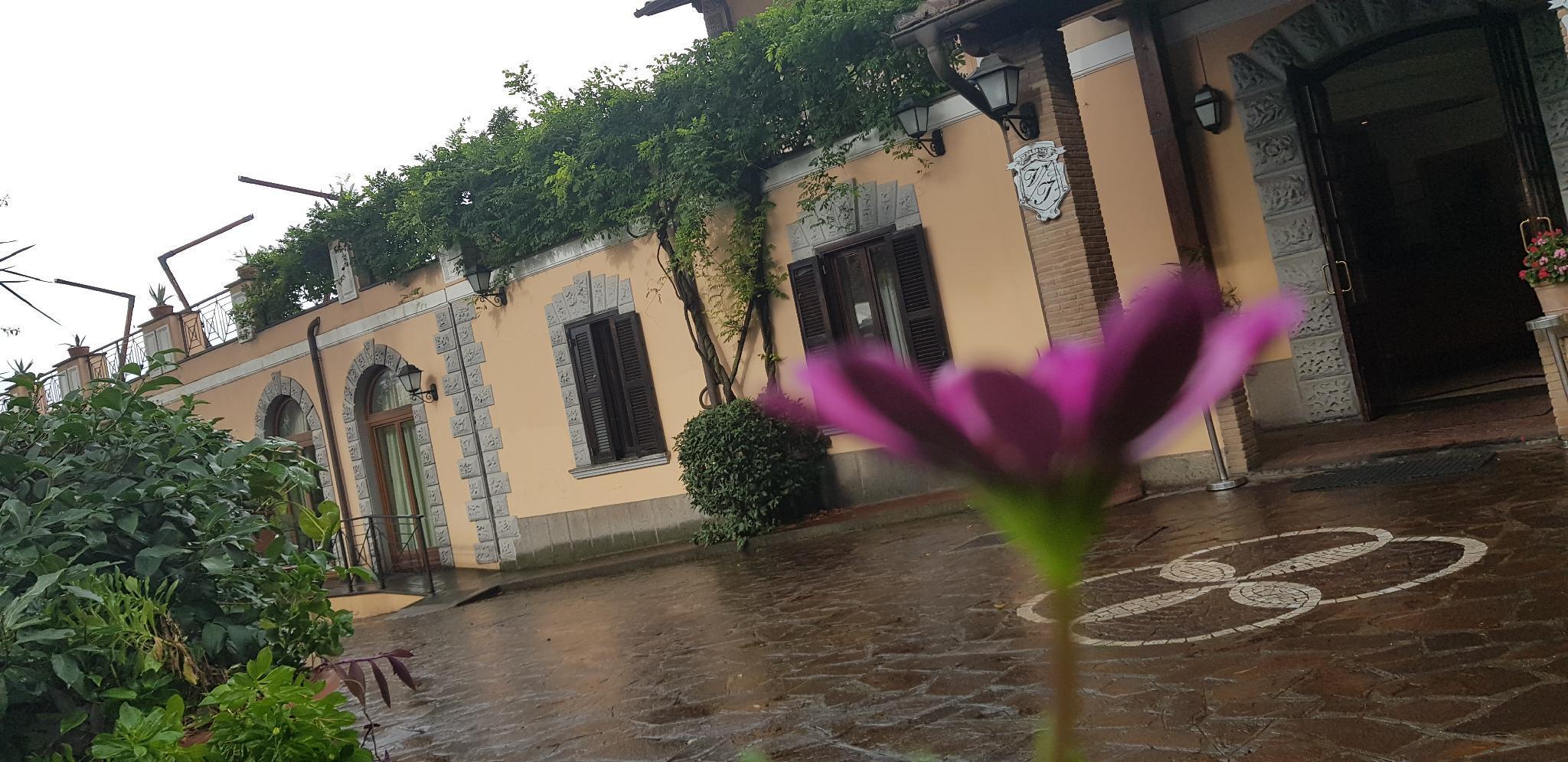 Villa Icidia Фраскати Экстерьер фото
